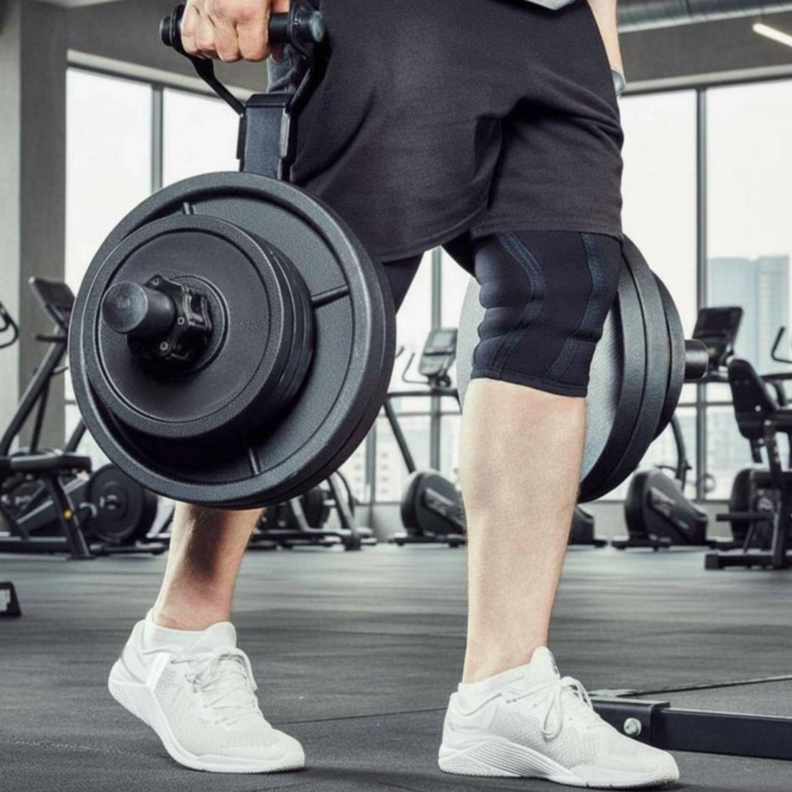 حامل أقراص الأوزان متعدد الأحج - مراجعة Home Gym Gym Equipment وسعره